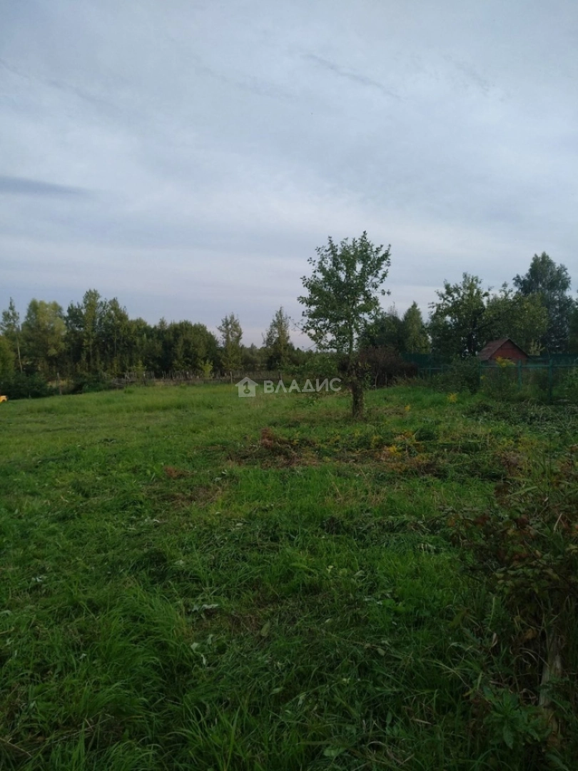 Photo https://36000382-a1c2-4a8a-a109-3fc3bfc73cf7.selcdn.net/App/Entity/Bid/Bid/RU/b286a462-c5f0-4e08-a96f-f1fd933f438a.jpg.compressed.webp
