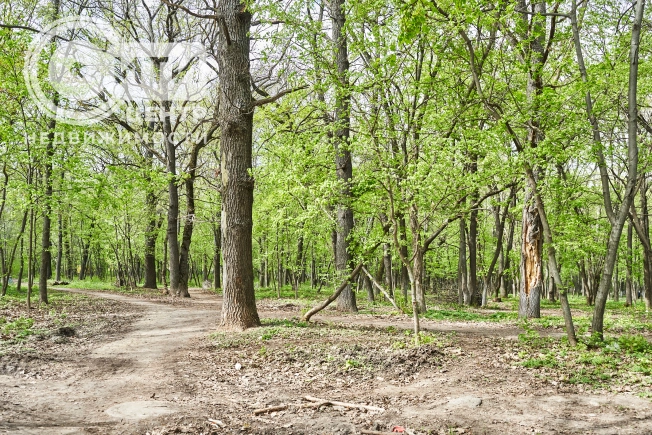 . Вариант № 135982, 17, площадь - 34.6 квм, цена 4450000 рублей