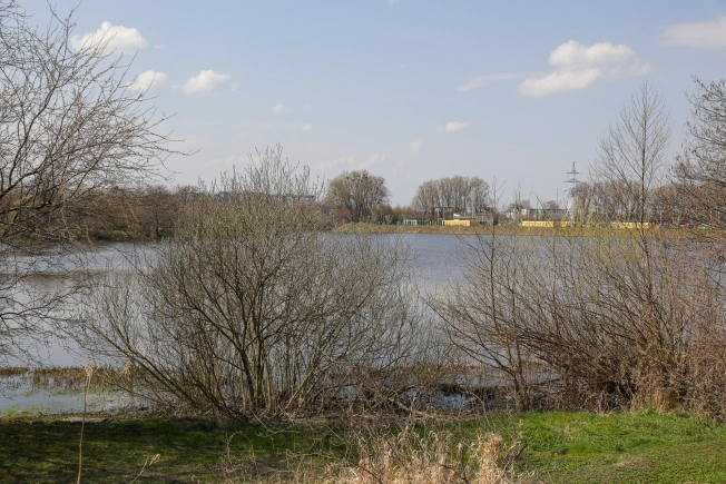 Купить квартиру в новостройках в Калининграде. Вариант № 86078, 6, площадь -  квм, цена 14835000 рублей