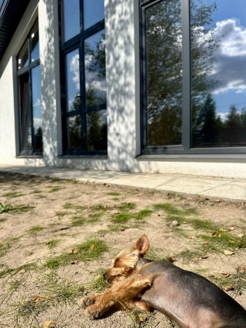 Купить дом в Судогде. Вариант № 2666071, 42, площадь -  квм, цена 10250000 рублей