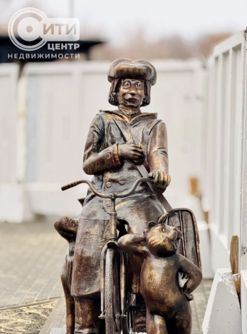 Купить квартиру со свободной планировкой в Воронеже. Вариант № 132874, 12, площадь - квм, цена 13230602 рублей