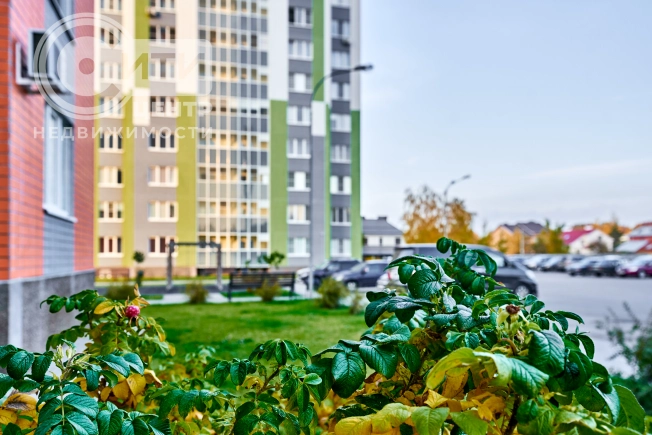Купить квартиру в новостройках в ЖК Задонье в Воронеже. Вариант № 127417, 12, площадь -  квм, цена 8158587 рублей