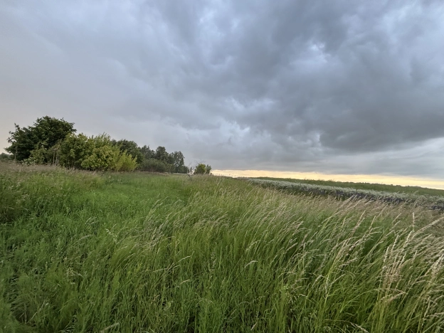 Купить земельный участок в Коломне. Вариант № 20904, 1, площадь -  квм, цена 360000 рублей