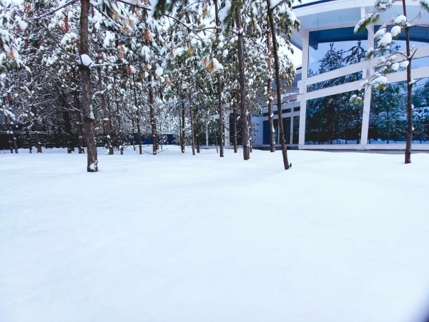 Купить дом в Обь. Вариант № 9176410, 6, площадь -  квм, цена 40000000 рублей