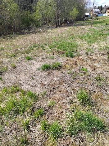 Купить земельный участок в Вологодской области. Вариант № 46210, 5, площадь -  квм, цена 390000 рублей