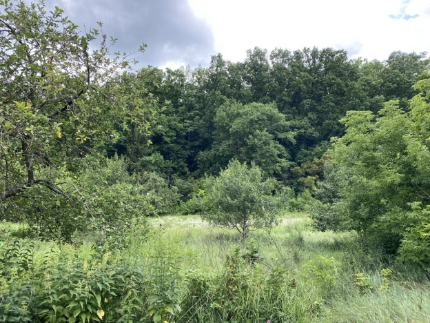 Купить земельный участок на улице Пятилетки в Белгородской области. Вариант № 59102, 6, площадь -  квм, цена 570000 рублей