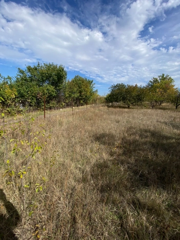 Купить земельный участок в Республике Крым. Вариант № 8412562, 0, площадь -  квм, цена 1899000 рублей