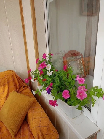 . Вариант № 36001, 11, площадь - 74 квм, цена 7320000 рублей