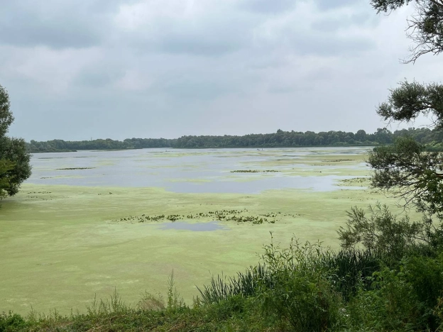 Купить земельный участок в Пензе. Вариант № 1740844, 0, площадь -  квм, цена 2000000 рублей