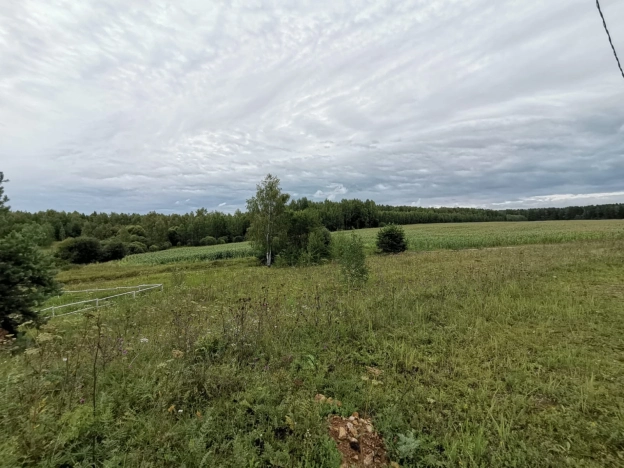 Купить дом в Калуге. Вариант № 2817, 29, площадь -  квм, цена 9300000 рублей