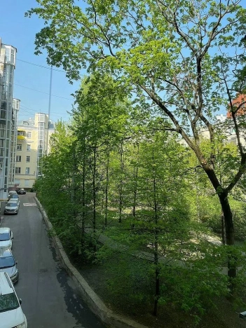 Купить квартиру в Москве. Вариант № 8431944, 15, площадь -  квм, цена 10700000 рублей