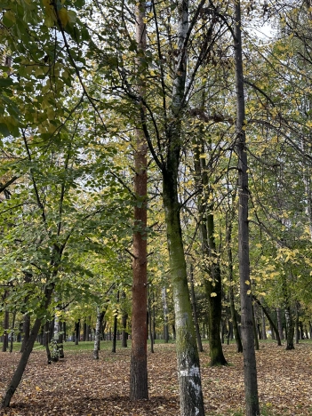 Купить квартиру на улице Обрывная в Краснодаре. Вариант № 7544309, 35, площадь -  квм, цена 7350000 рублей