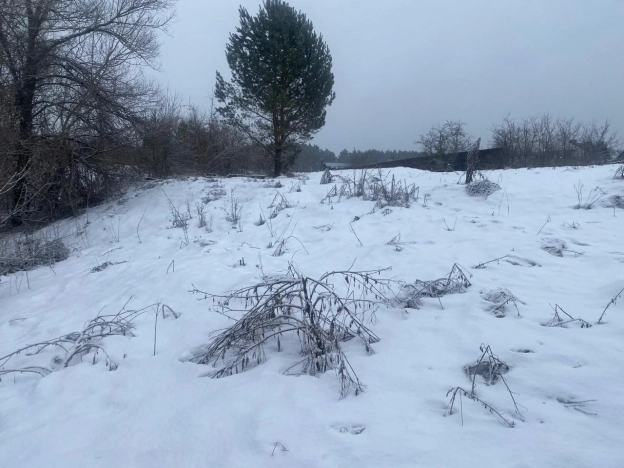 Купить земельный участок в Пензе. Вариант № 23813, 3, площадь -  квм, цена 1000000 рублей