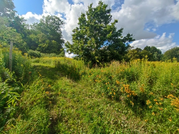 Купить земельный участок в Калининграде. Вариант № 2831231, 1, площадь -  квм, цена 3500000 рублей