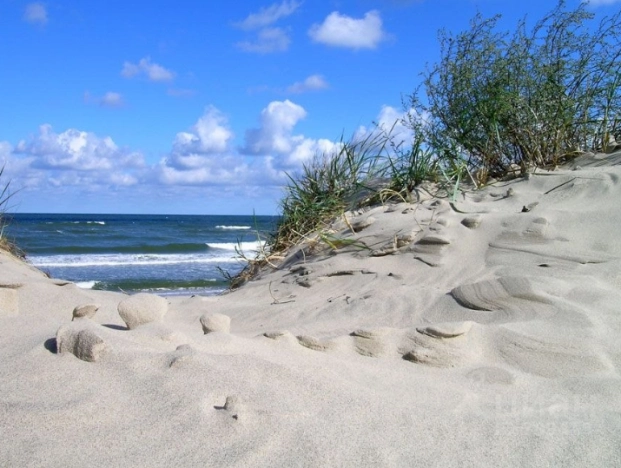 Купить дом в Зеленоградске. Вариант № 4775, 18, площадь -  квм, цена 23100000 рублей