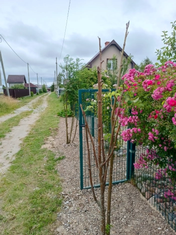 Купить дом в Зеленоградске. Вариант № 60949, 5, площадь -  квм, цена 5500000 рублей