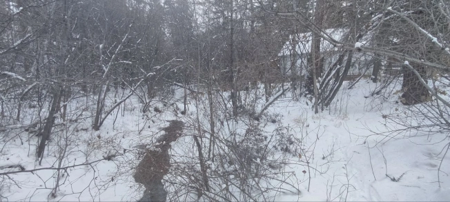 Купить дом в Улан-Удэ. Вариант № 4868225, 7, площадь -  квм, цена 5400000 рублей