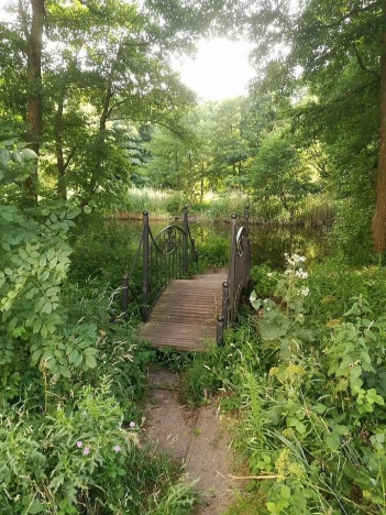 Купить двухкомнатную квартиру в районе Центральный в Калининграде. Вариант № 3903719, 15, площадь -  квм, цена 7800000 рублей