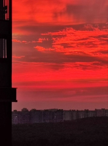 Купить квартиру в Москве. Вариант № 9152942, 8, площадь - квм, цена 31500000 рублей