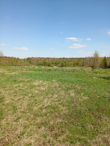 Купить земельный участок в Республике Коми. Вариант № 46055, 0, площадь -  квм, цена 240000 рублей