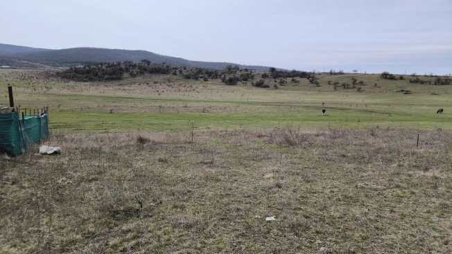 Купить земельный участок в Республике Крым. Вариант № 23857, 1, площадь -  квм, цена 2500000 рублей