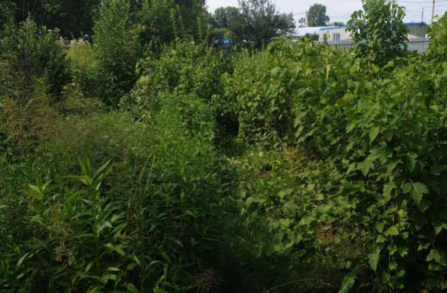 Купить дом в районе Калининский в Новосибирске. Вариант № 57828, 9, площадь -  квм, цена 2100000 рублей