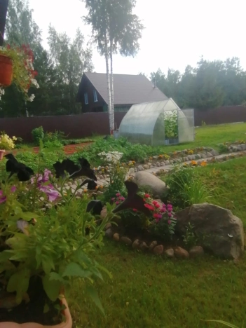 Купить дом в Санкт-Петербурге. Вариант № 15047, 34, площадь -  квм, цена 18000000 рублей