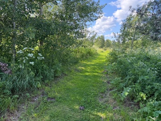 Купить земельный участок в Вологодской области. Вариант № 61367, 10, площадь -  квм, цена 300000 рублей