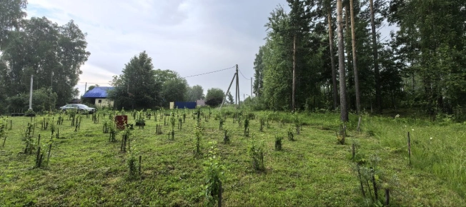 Купить земельный участок в Искитиме. Вариант № 60132, 6, площадь -  квм, цена 3547000 рублей