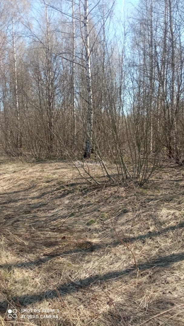 Photo https://36000382-a1c2-4a8a-a109-3fc3bfc73cf7.selcdn.net/App/Entity/ObjectRealty/ObjectRealty/AD/7ac0a49d-7784-4b56-a6db-f3b7d5b4f4ec/AQpHphCVXHmju4pt8Gpwj9Y9v4xYExqXGQG6GcOT.jpg.compressed.webp