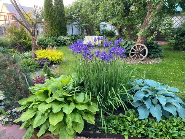 Купить дом в Гороховеце. Вариант № 56256, 45, площадь -  квм, цена 2500000 рублей