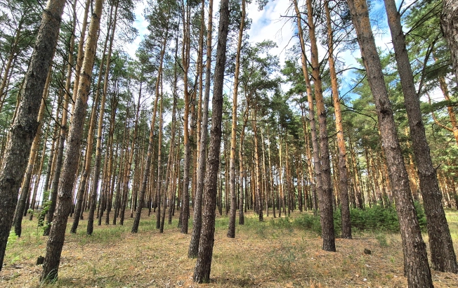 Купить земельный участок на улице 1-й Авиационный проезд в Рязани. Вариант № 2529030, 6, площадь -  квм, цена 6227100 рублей