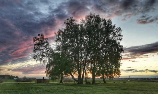 Купить земельный участок в Новосибирске. Вариант № 6636485, 2, площадь -  квм, цена 400000 рублей