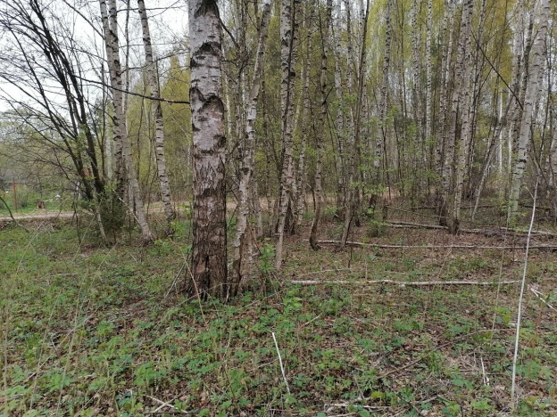 Купить земельный участок в Судогде. Вариант № 39125, 9, площадь -  квм, цена 390000 рублей