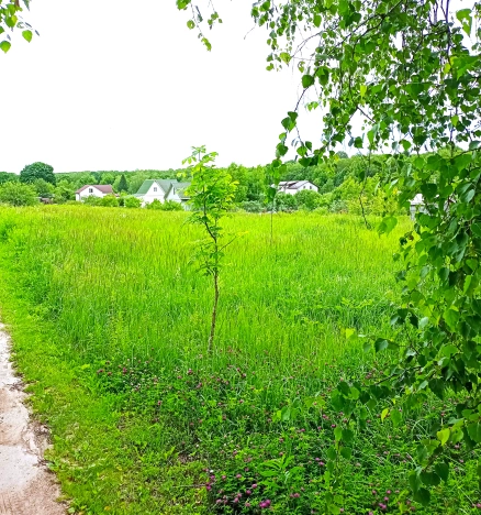 Купить земельный участок в Обнинске. Вариант № 11039, 4, площадь -  квм, цена 900000 рублей