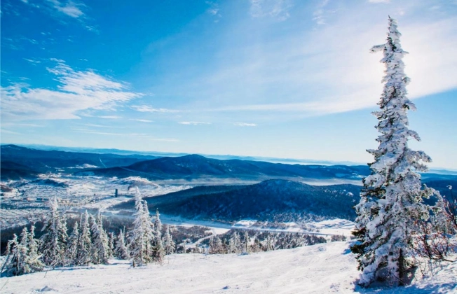 Купить земельный участок в Кемеровской Области — Кузбассе. Вариант № 3882892, 0, площадь -  квм, цена 5300000 рублей
