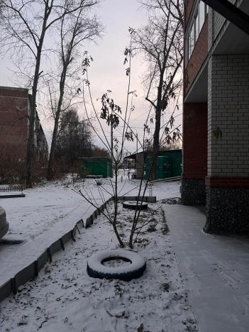 Купить Студию в Новосибирской области. Вариант № 8916173, 13, площадь -  квм, цена 2650000 рублей