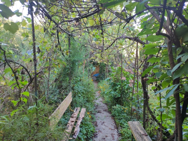 Купить дачу в Краснодарском крае. Вариант № 13467, 4, площадь -  квм, цена 5500000 рублей