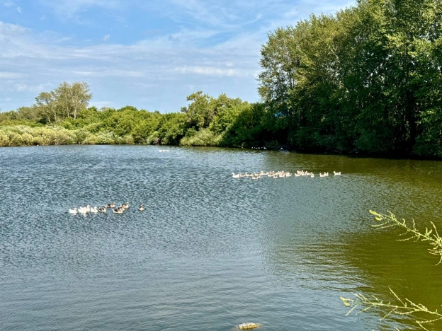 Купить дом на улице Матросова в Республике Башкортостан. Вариант № 6949117, 33, площадь -  квм, цена 750000 рублей