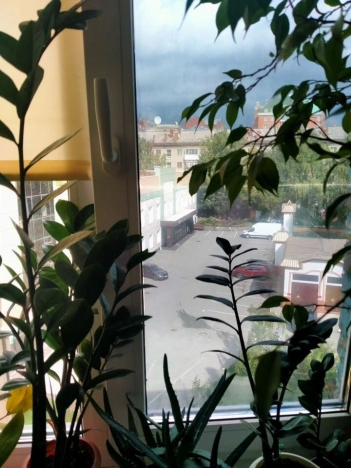 Купить двухкомнатную квартиру в Новосибирске. Вариант № 9797815, 12, площадь -  квм, цена 6000000 рублей