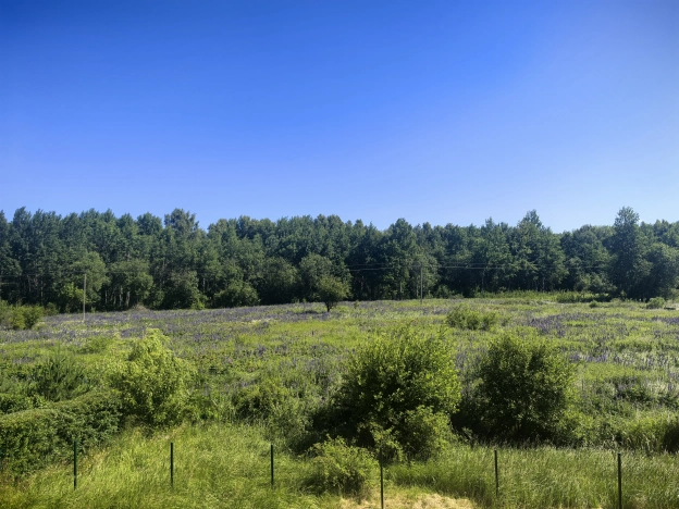 Купить дом на улице Полецкого в Калининграде. Вариант № 58056, 22, площадь -  квм, цена 5300000 рублей