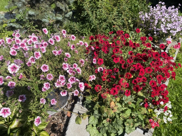 Купить дом в Москве. Вариант № 11944, 40, площадь - квм, цена 16800000 рублей