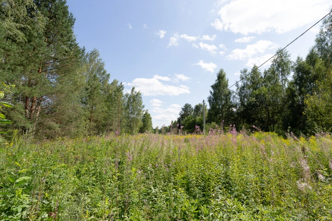 Купить земельный участок на улице Большая Лукинская в Владимире. Вариант № 14006, 4, площадь -  квм, цена 1000000 рублей