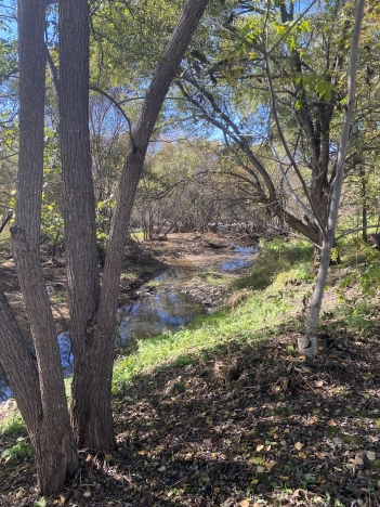 Купить земельный участок в Арсеньеве. Вариант № 12774, 0, площадь -  квм, цена 1900000 рублей