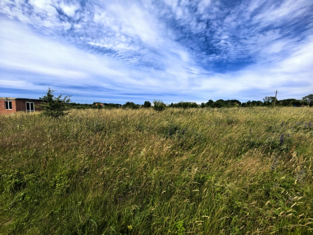 . Вариант № 59798, 1, площадь -  квм, цена 5500000 рублей