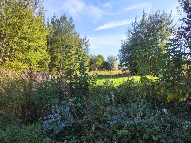 Купить земельный участок на улице Аграрная в Владимире. Вариант № 13684, 3, площадь -  квм, цена 3250000 рублей