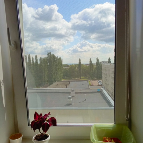 . Вариант № 58238, 3, площадь - 50 квм, цена 4100000 рублей