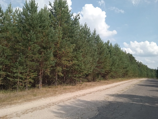 Купить земельный участок в Коврове. Вариант № 3012, 6, площадь -  квм, цена 310000 рублей