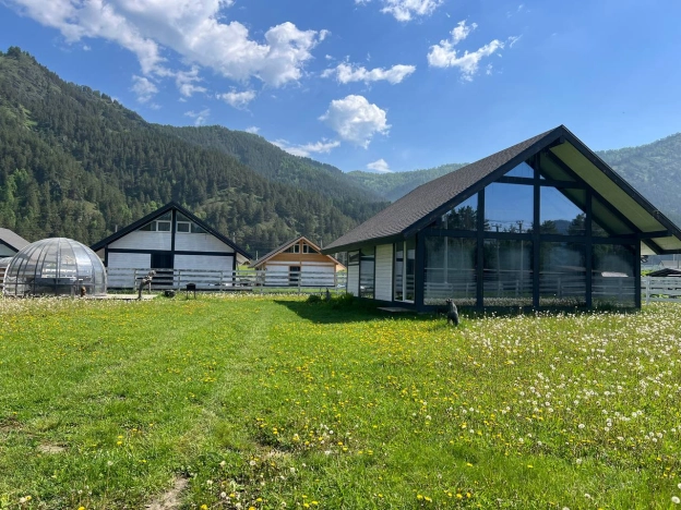 Купить дом на улице Садовая в Алтайском крае. Вариант № 44638, 0, площадь -  квм, цена 13900000 рублей