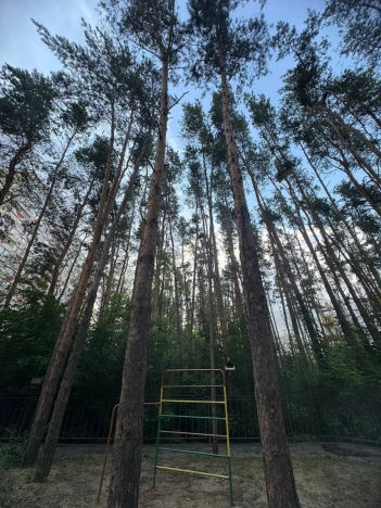 Купить двухкомнатную квартиру на улице 9 Января в Воронеже. Вариант № 23154, 11, площадь -  квм, цена 6650000 рублей